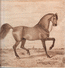horse3